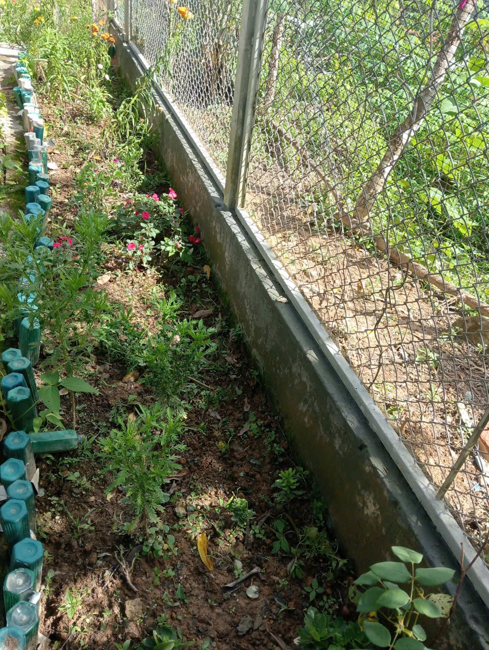'A fence with plants and flowers
AI-generated content may be incorrect.'
