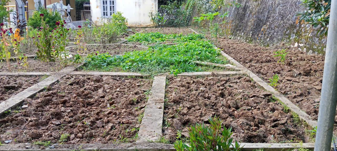 Description: C:\Users\Admin\Desktop\ẢNH 2.jpg